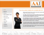 AAI General Insurance | Front end website design, layout, back end CMS scripting and database setup, web hosting management